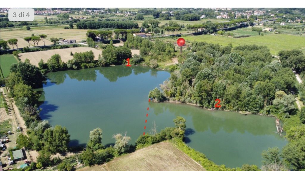 carpfishing
